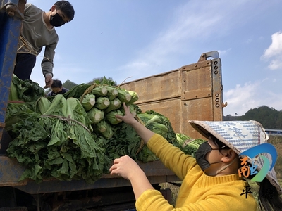 平塘县本年度首张食用农产品合格证新鲜出炉